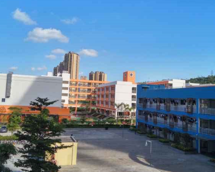 人大附中深圳学校（九年一贯部）课桌椅和CILICILI短视频APP官网采购